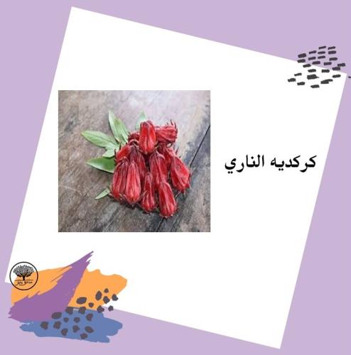 بذور كركديه الناري F1