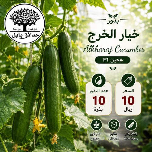 بذور خيار الخرج F1