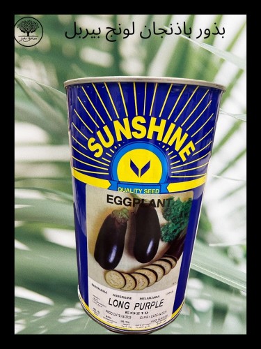 بذور باذنجان لونج بيربل متوارث عبوة كبيرة