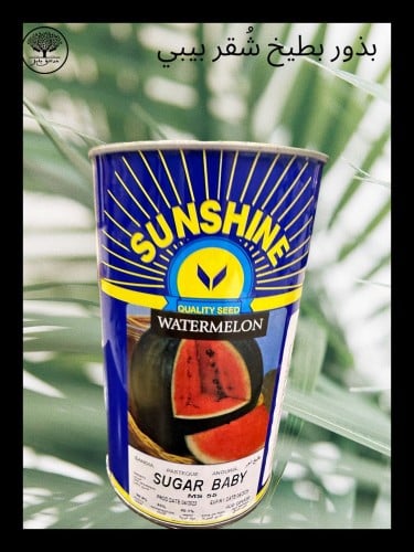 بذور بطيخ شقر بيبي متوارث عبوة كبيرة