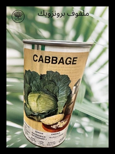 بذور ملفوف برونزويك متوارث عبوة متوسطة