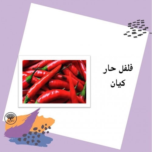 بذور فلفل حار كيانf1