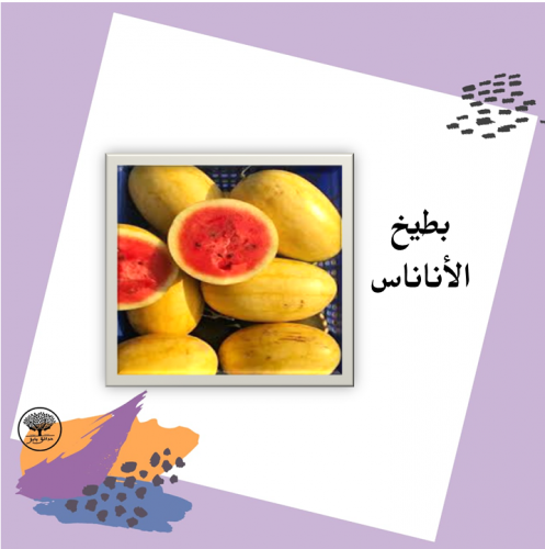 بذور بطيخ الأناناس f1