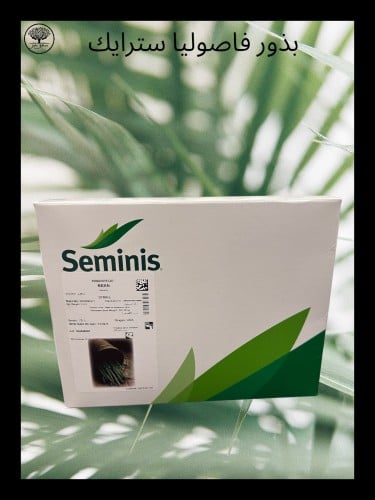 بذور فاصوليا استرايك متوارث باكيت كبير