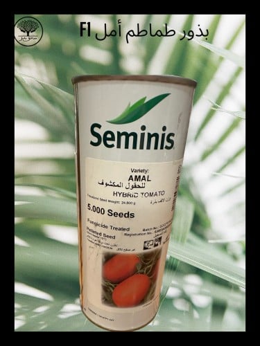 بذور طماطم أمل F1 عبوة طويلة