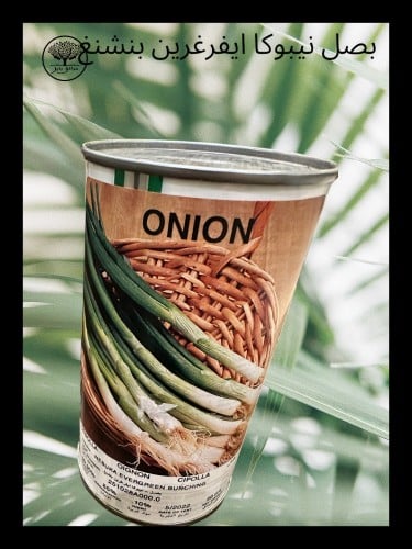 بذور بصل نيبوكا ايفرغرين بنشنغ عبوة متوسطة