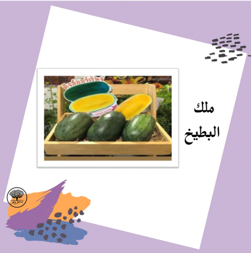 بذور ملك البطيخ F1