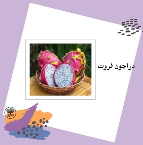 بذور دراجون فروت متوارث