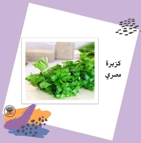 بذور كزبرة مصري متوارث