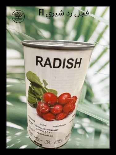 بذور فجل رد شيري F1 عبوة متوسطة