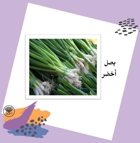 بذور بصل أخضر متوارث