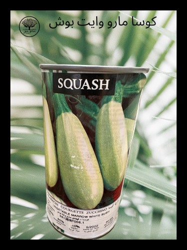 بذور كوسا مارو وايت بوش متوارث عبوة متوسطة