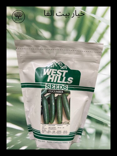 بذور خيار بيت الفا متوارث باكيت
