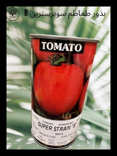 بذور طماطم سترين بي متوارث عبوة صغيرة