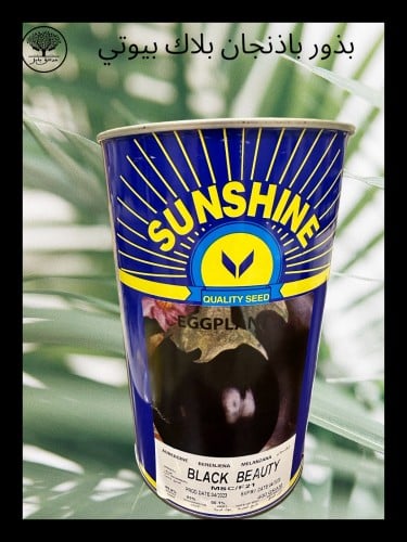 بذور باذنجان بلاك بيوتي متوارث عبوة كبيرة