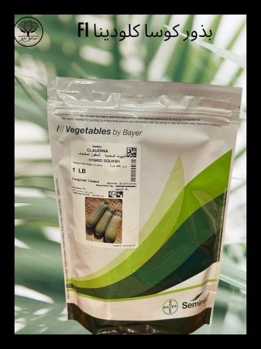 بذور كوسا كلودينا F1باكيت