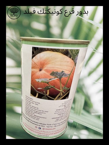 بذور قرع كونيكتك فيلد متوارث عبوة صغيرة