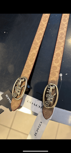 حزام coach نسائي