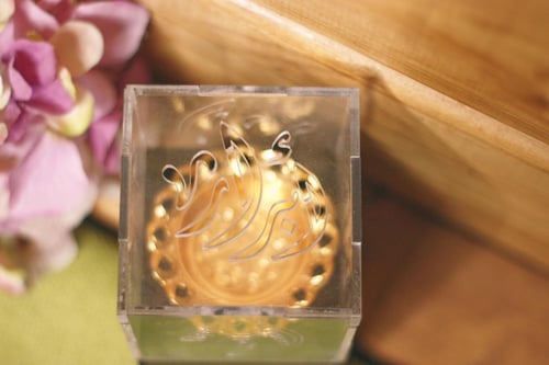 مبخره بغطاء شفاف