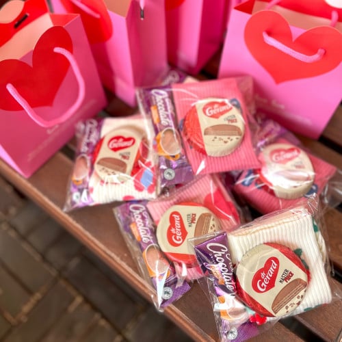 توزيعات شتوية