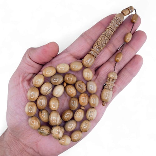 سبحة ناب الماموث المنقرض الشاهد منقوش