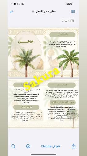 مطويه عن النخل