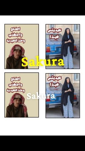 ثيم (عيديتس فيذا)صفحتين