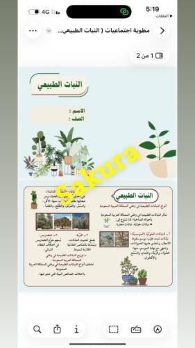 مطويه اجتماعيات (النبات الطبيعي )صف خامس ابتدائي ا...