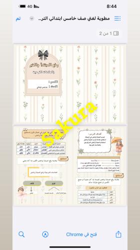 مطويه لغتي (رفع المبتدأ والخبر بالعلامات الفرعيه )...