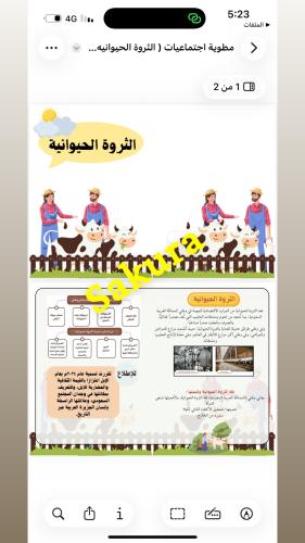 مطوية اجتماعيات ( الثروة الحيوانيه ) صف خامس ابتدا...