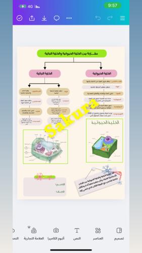 مقارنه بين الخليه الحيوانيه والخليه النباتيه