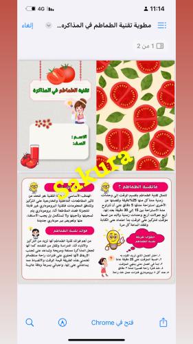 مطوية اسريه ( تقنية الطماطم في المذاكره ) صف خامس...