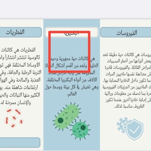 مطويه علوم رابع اسم الفطريات والبكتيريا