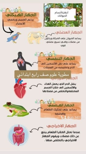 مطوية صف رابع ابتدائي ( اجهزة اجسام الحيوانات )