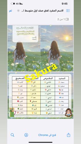 مطويه لغتي (الاسم المفرد )صف اول متوسط الترم الأول