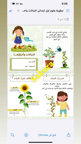 مطوية علوم ( النباتات وأجزاؤها ) صف اول ابتدائي ال...