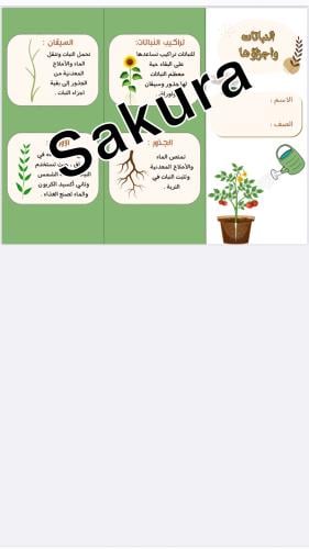 مطويه علوم (النباتات واجزاؤها )صف ثالت الترم الاول