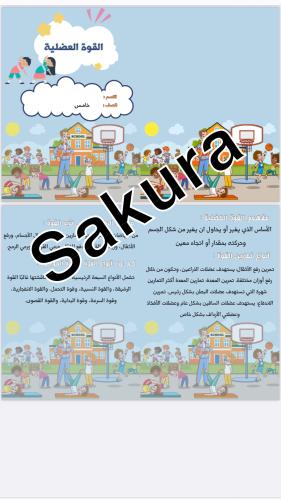 مطويه بدنيه ( القوة العضليه ) صف خامس ابتدائي التر...