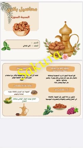 مطويه (محاصيل بلادي المدينه المنوره ) صف ثاني ابتد...