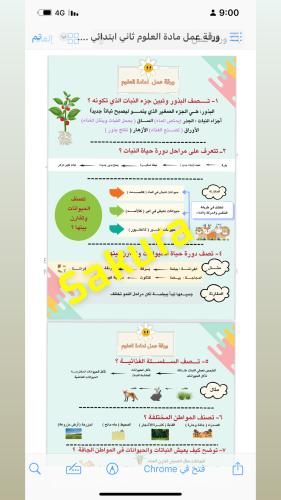 ورقة عمل ماده العلوم صف ثاني ابتدائي