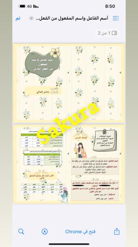 مطويه لغتي ( اسم الفاعل واسم المفعول من الفعل الثل...