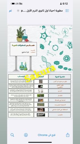 مطويه احياء صف اول ثانوي ابتدائي الترم الاول