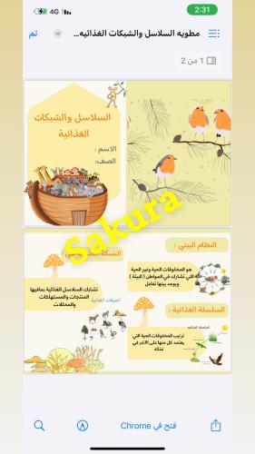 مطويه علوم ( السلاسل والشبكات الغذائيه ) صف ثالث ا...