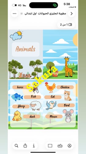 English brochure (animals) first grade