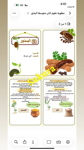 مطوية علوم (البذور )صف ثاني متوسط