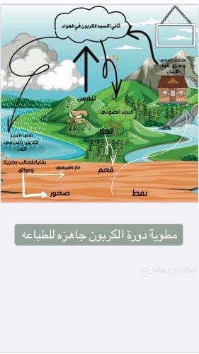 مطوية دورة الكربون ( صف خامس ابتدائي)