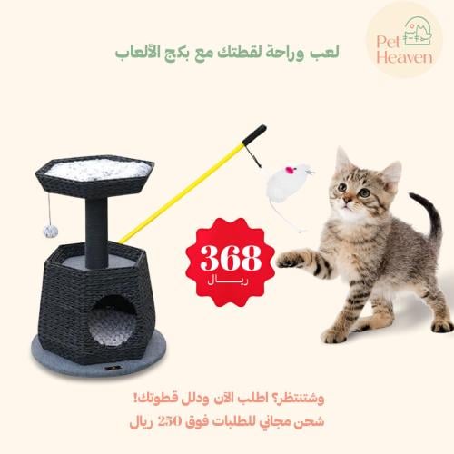 بكج الألعاب