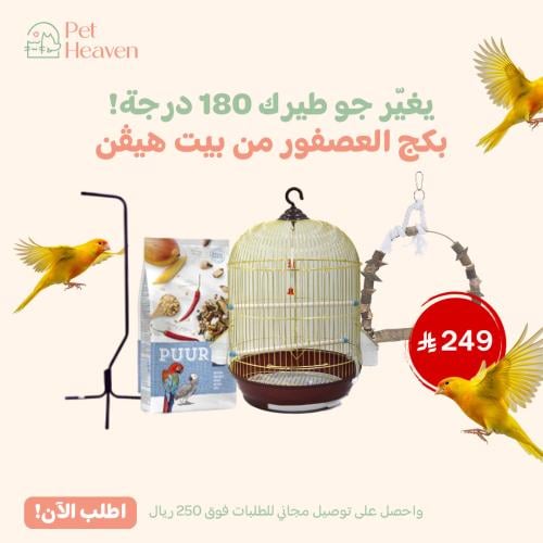 بكج فخامة العصفور