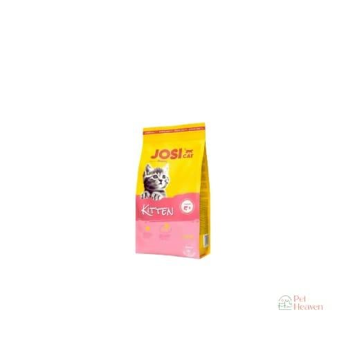 جوسي كات كتن للقطط