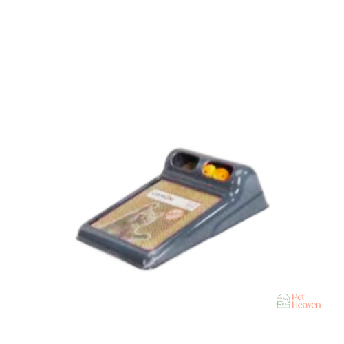 خداشة ولعبة كور للقطط